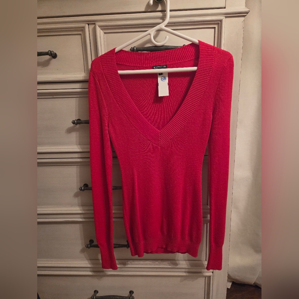 Express Scarlet Knit Sweater